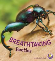 Breathtaking_beetles